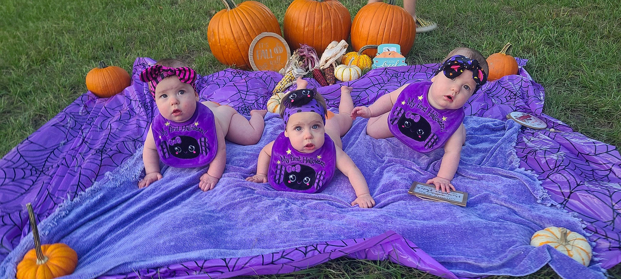 Anya Nami Eretria joined the competition — help win amazing prizes! baby, calabaza, cucurbita, dress, event, fun, gourd, grass, headwear, human_body, leaf, leisure, magenta, natural_foods, person, plant, pumpkin, purple, squash, toddler