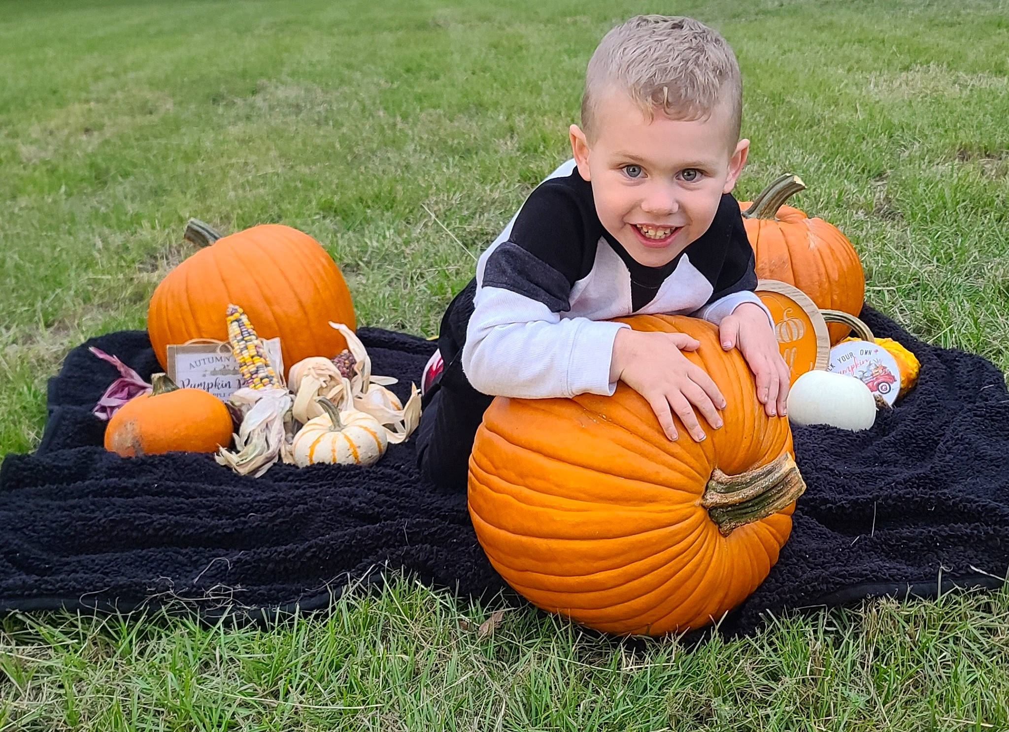 Gray is registered to the contest to win money with this photo: botany, calabaza, eye, facial_expression, gourd, grass, happy, head, joy, lawn, natural_foods, orange, people_in_nature, person, plant, pumpkin, sharing, smile, squash, toddler