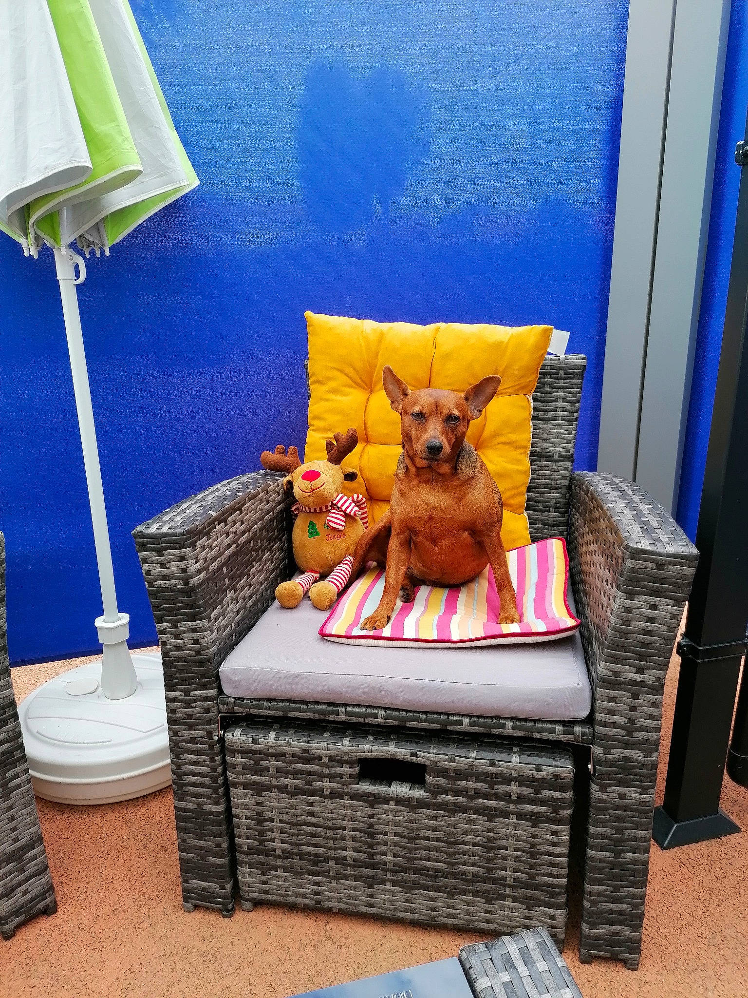 Mascotte participe au concours pour gagner de l'argent avec cette photo : blue, chair, comfort, drawer, floor, flooring, furniture, hardwood, interior_design, linens, living_room, outdoor_furniture, pillow, product, rectangle, shade, table, textile, wall, wood