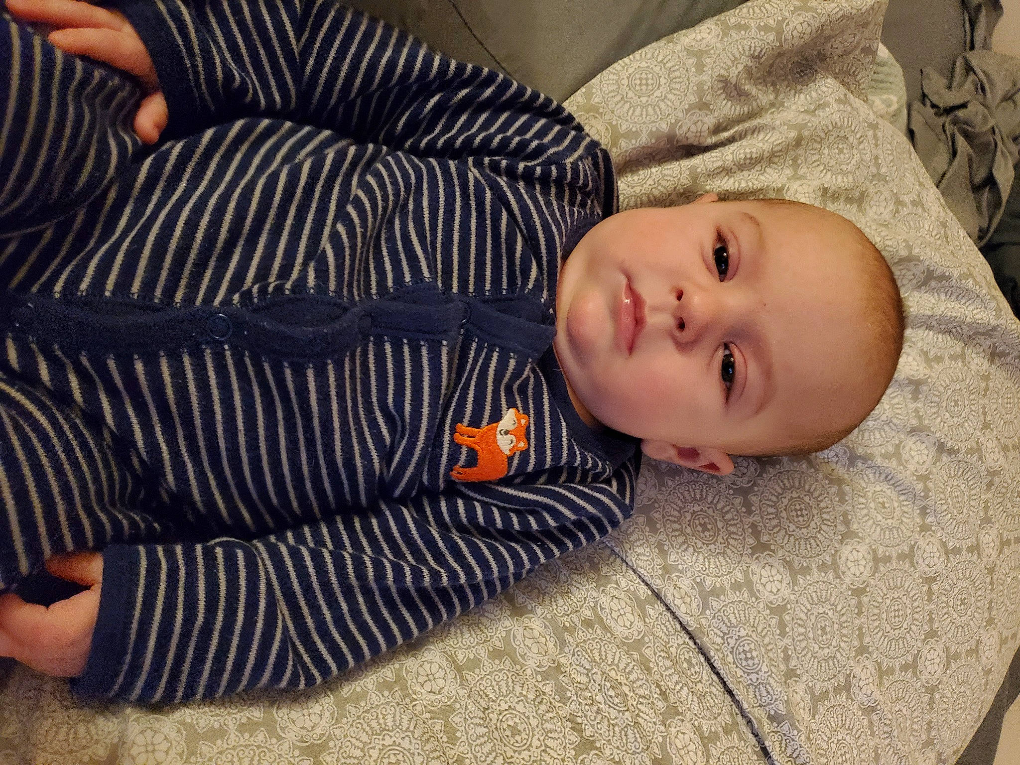 Callum joined the competition — help win amazing prizes! baby, baby_toddler_clothing, cheek, child, comfort, flooring, fur, grass, linens, nose, pattern, person, portrait_photography, sitting, sleep, sleeve, toddler, tree, wood, wool