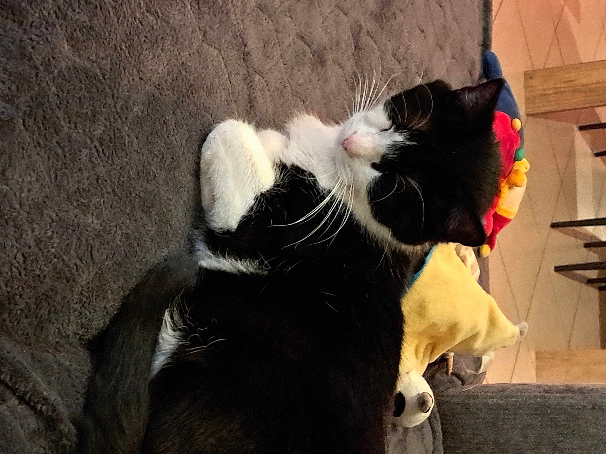 Simba