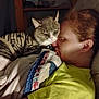 Rocketship joined the competition — help win amazing prizes! blanket, cat, closeup, comfort, cozy, cuddle, face, furniture, home, indoor, person, pet, quilt, redhead, resting, shelf, soft_lighting, striped_cat, warmth, yellow_shirt