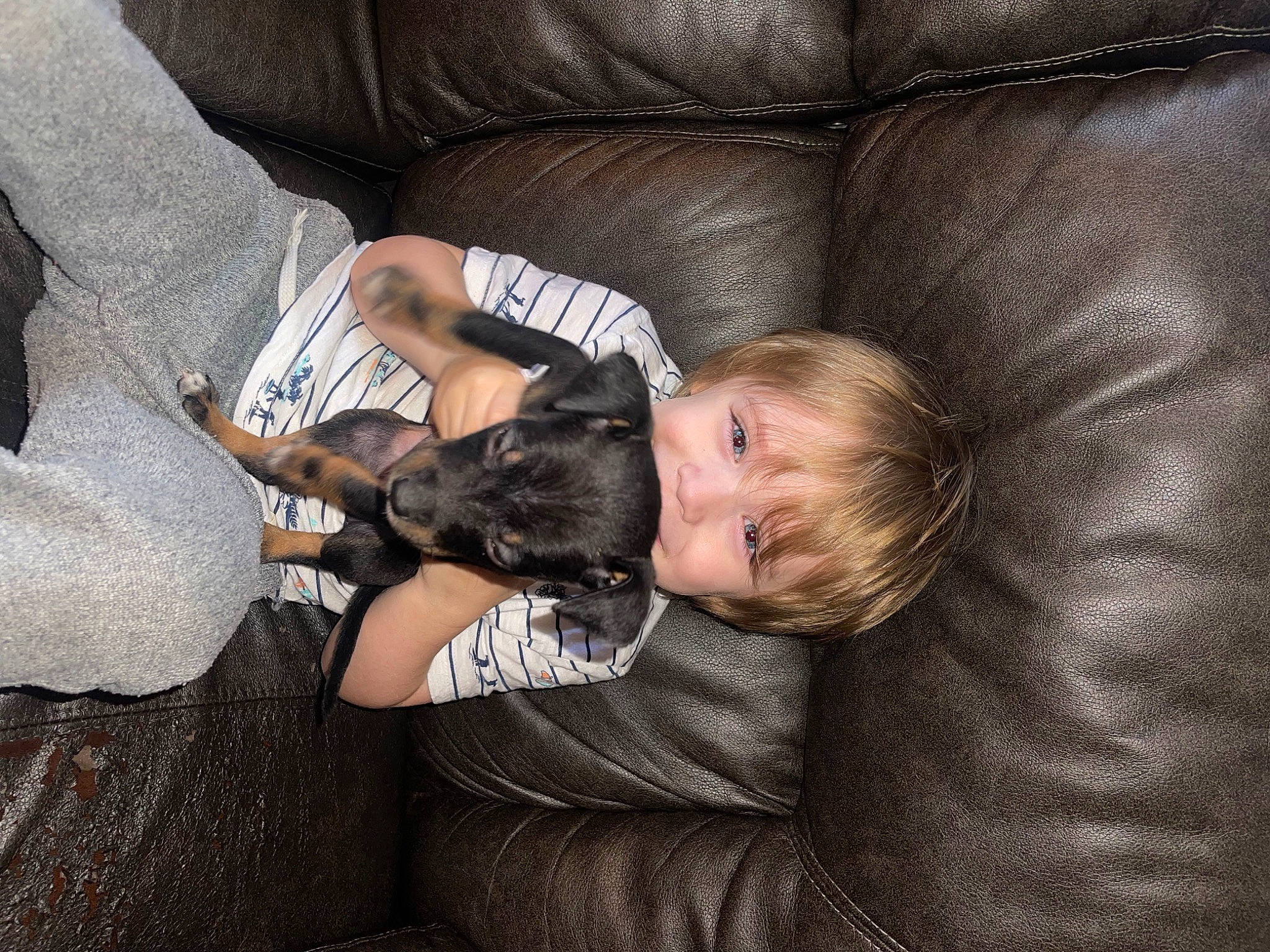 Tristen Kendrick is registered to the contest to win money with this photo: child, comfort, companion_dog, couch, elbow, flash_photography, fun, fur, gesture, human_leg, linens, nap, person, room, sitting, sleep, sleeve, thigh, toddler, tree