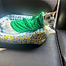 cat, kitten, pet, animal, sleeping, costume, dragon_costume, green, white, car, car_seat, pet_bed, blanket, lemon_pattern, indoor, cozy, resting, cute, fur, sunlight