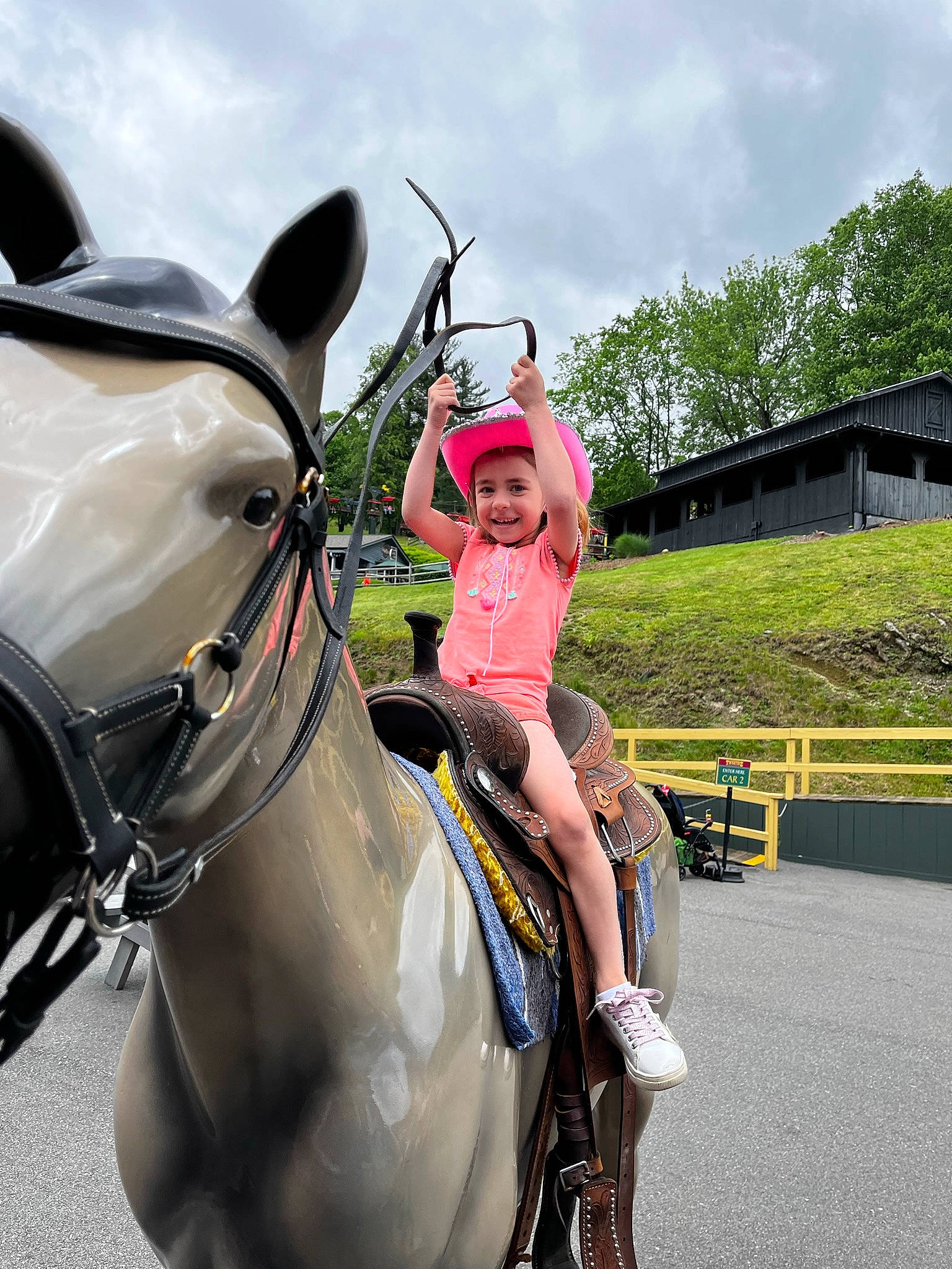 Sailyr joined the competition — help win amazing prizes! bit, bridle, cloud, eye, halter, headwear, horse, horse_supplies, horse_tack, joy, livestock, mammal, mane, pack_animal, person, plant, rein, saddle, sky, smile