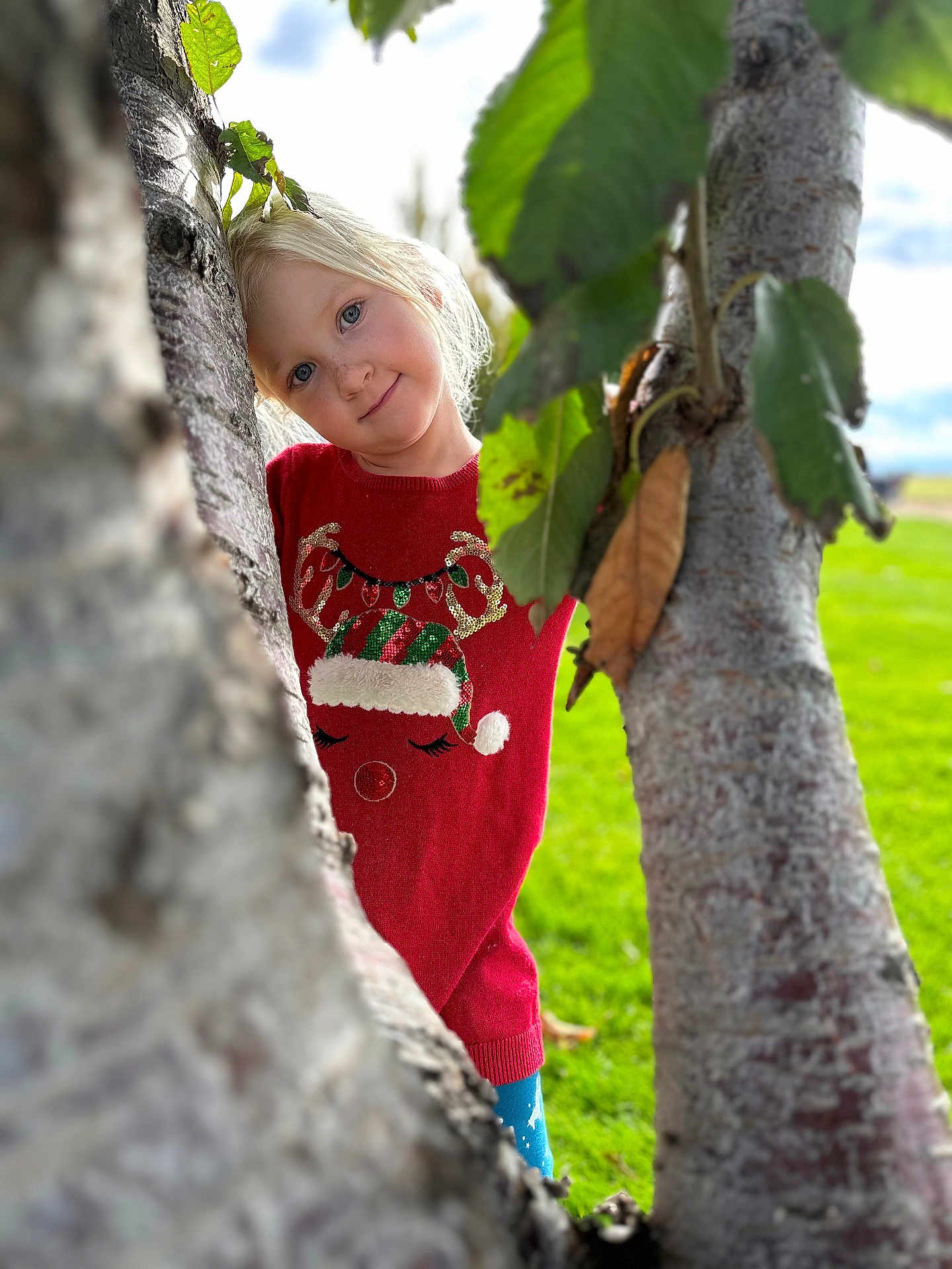 Kathy joined the competition — help win amazing prizes! child, clothing, dress, face, female, girl, grass, head, hiding, knitwear, leaf, outdoors, person, photography, plant, portrait, sweater, tree, treetrunk, vegetation