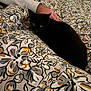 black_cat, bedspread, floral_pattern, hand, indoor, pet, resting, comfort, animal, feline, sleepy, domestic, cozy, human_interaction, soft_lighting, textile, bedroom, patterned_fabric, animal_eyes, relaxation