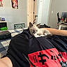 kitten, cat, blue_eyes, person, black_shirt, red_graphic, bed, plaid_blanket, room, poster, figurine, desk, door, shelf, computer_monitor, indoor, relaxing, cute, pet, animal