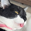 Jessie G.