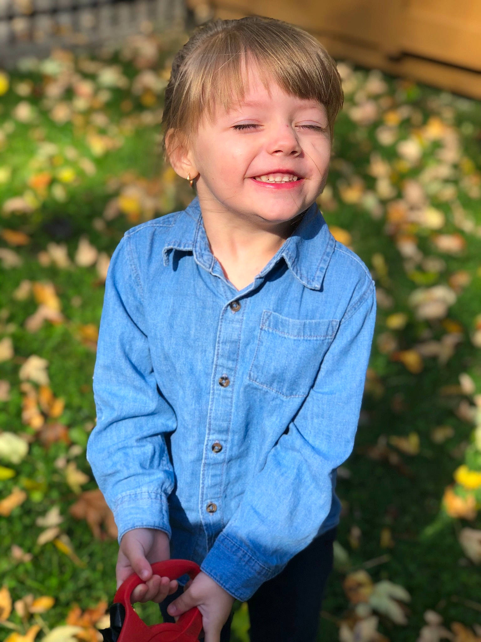 Teghan is registered to the contest to win money with this photo: child, child_model, denim, facial_expression, family, garden, grass, happy, jeans, joy, leaf, pattern, people, person, photography, plaid, plant, portrait, portrait_photography, sitting