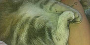 Snowbell is registered to the contest to win money with this photo: