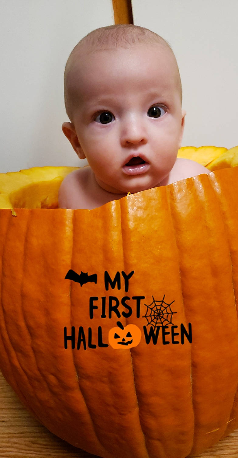 Gryffin joined the competition — help win amazing prizes! baby, baby_toddler_clothing, calabaza, cheek, child, chin, eyelash, font, happy, natural_foods, nose, orange, peach, person, portrait_photography, pumpkin, sleeve, surprise, t_shirt, toddler