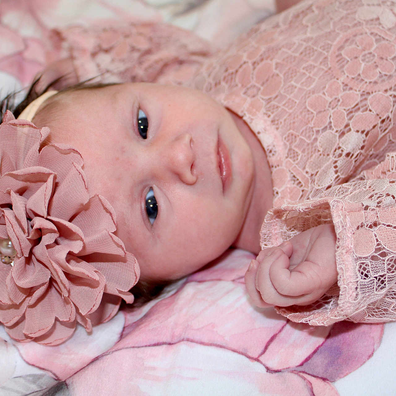Gracie-June is registered to the contest to win money with this photo: baby, bodypart, bonnet, clothing, dress, face, finger, flower, flowerarrangement, flowerbouquet, hand, hat, head, lace, newborn, person, photography, plant, portrait, rose