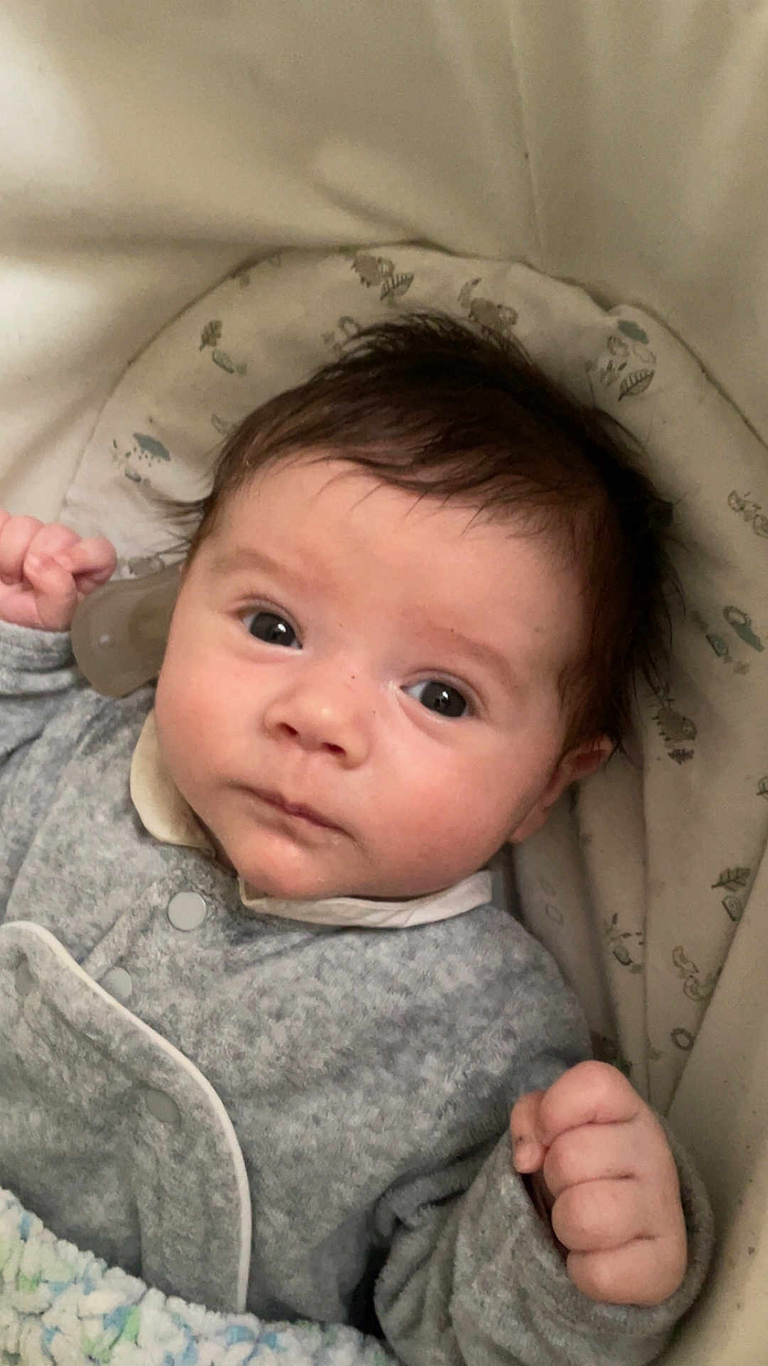 Malo a rejoint le concours — aidez-le/la à gagner de superbes lots ! baby, infant, face, eyes, clothing, blanket, cushion, hand, person, portrait, cozy, cute, indoors, soft, young, sleepwear, expression, newborn, skin, hair