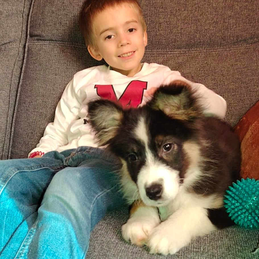 Lowen Duval a rejoint le concours — aidez-le/la à gagner de superbes lots ! boy, child, couch, cute, dog, fur, home, indoor, jeans, living_room, paws, pet, playful, portrait, puppy, relaxing, smile, sofa, t_shirt, toy_ball