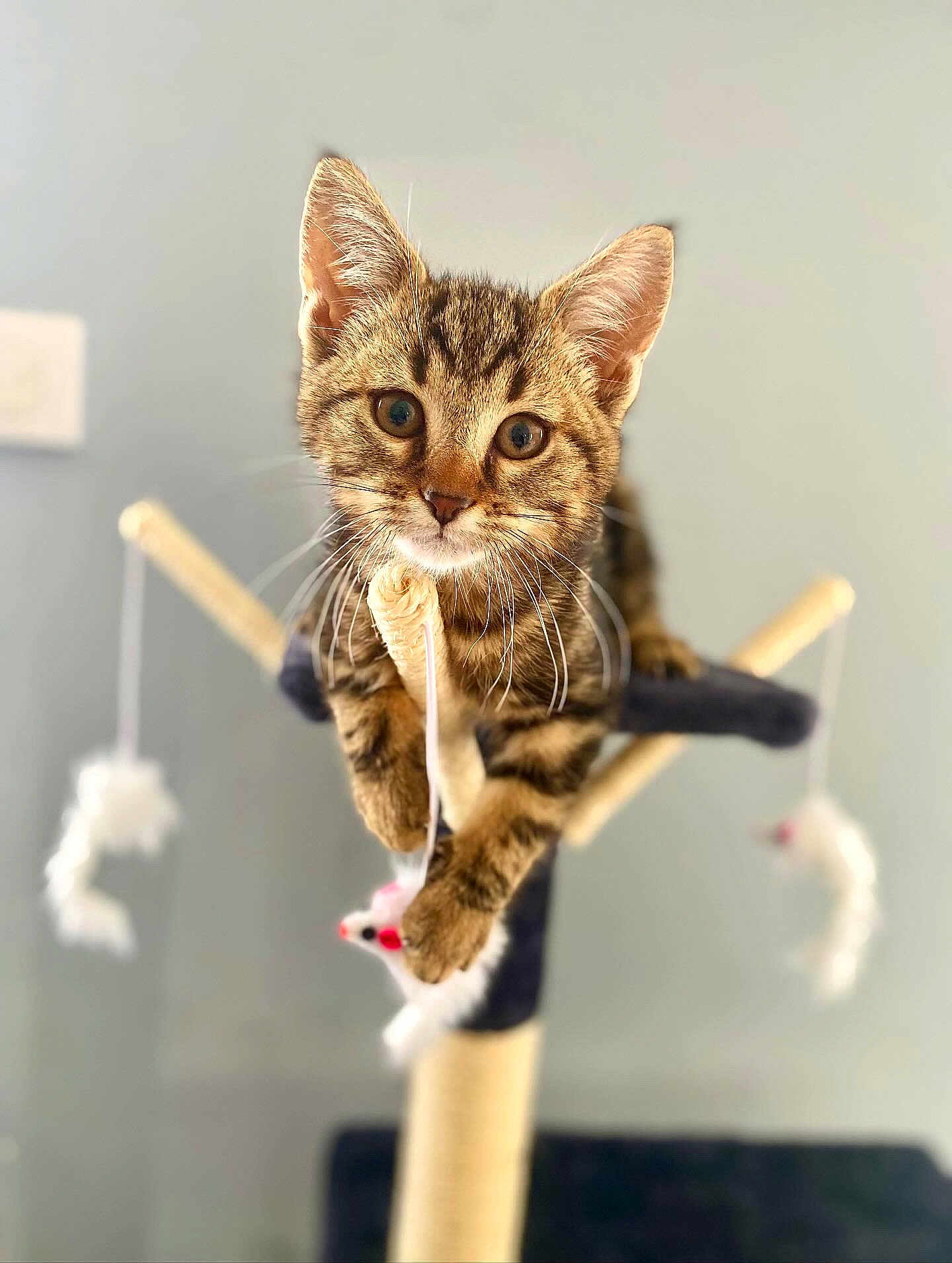 Aby