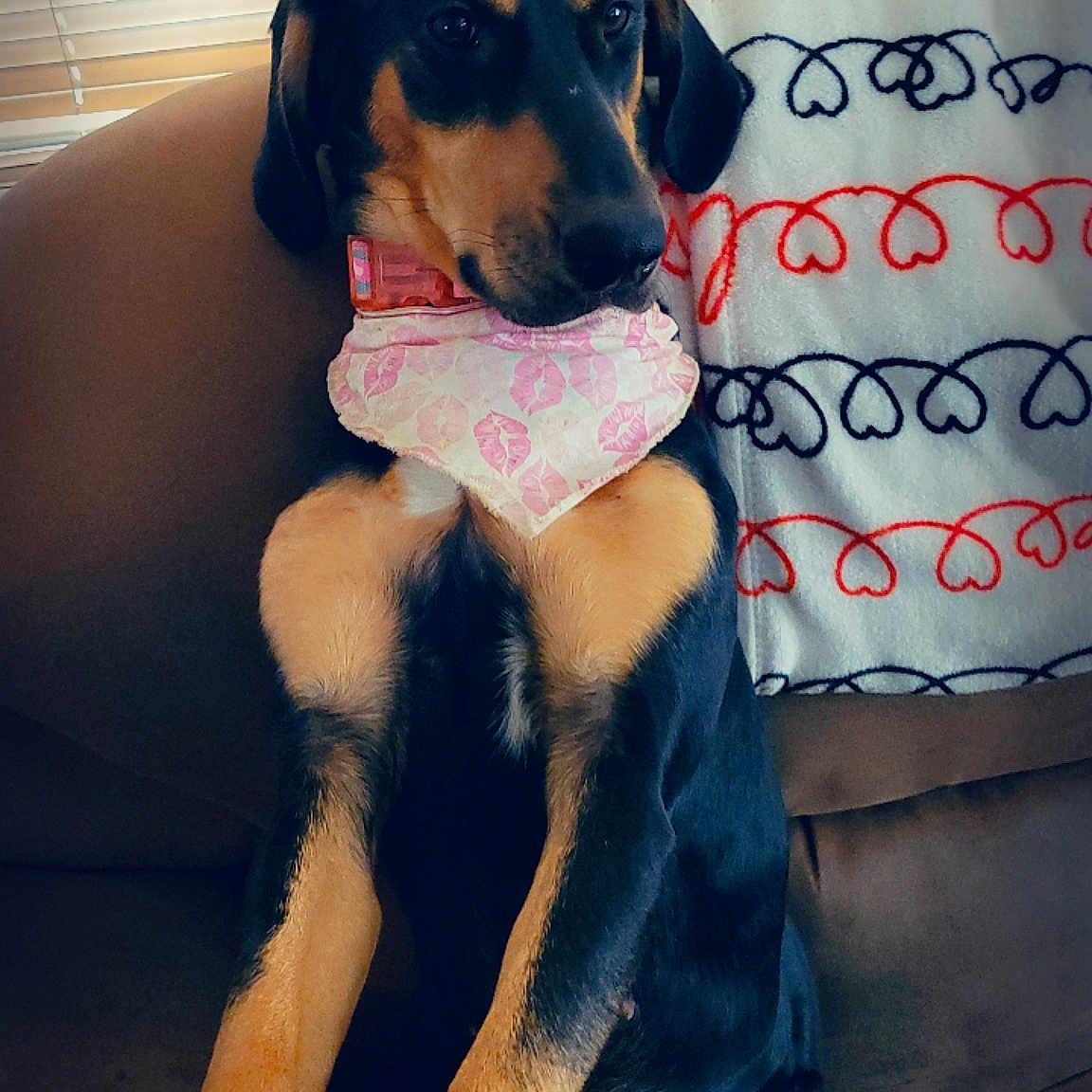 Bella
