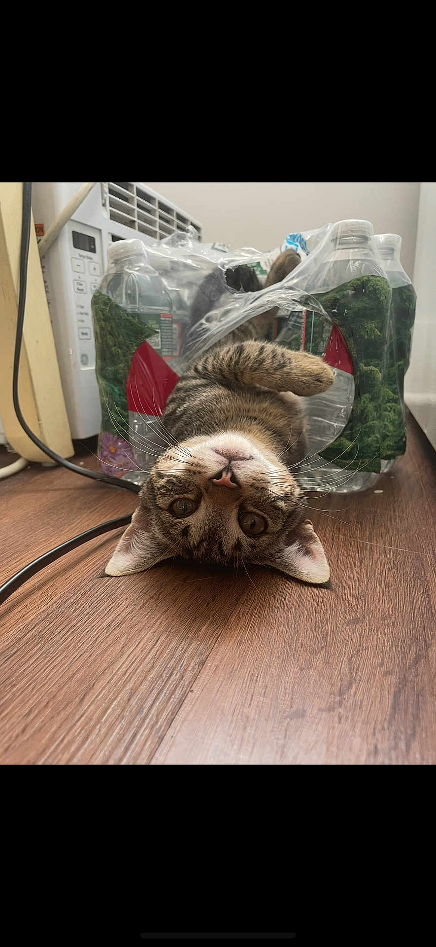 Romeo