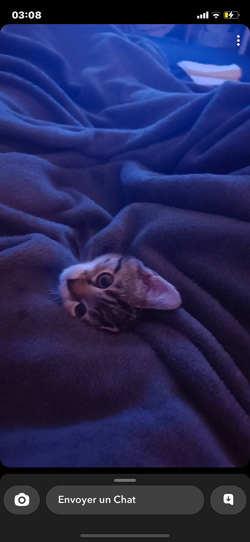 Vega participe au concours pour gagner de l'argent avec cette photo : bed_sheet, blanket, carnivore, cat, comfort, darkness, electric_blue, fawn, felidae, fur, human_leg, landscape, linens, paw, peach, sand, small_to_medium_sized_cats, textile, whiskers, wildlife