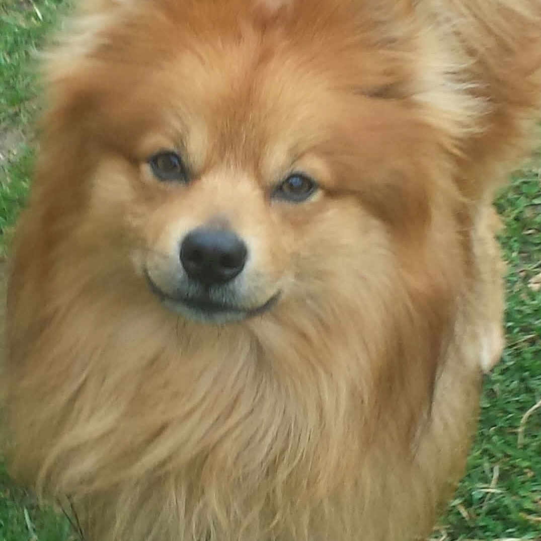 Kaydo