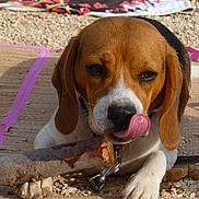 Faya participe au concours pour gagner de l'argent avec cette photo :