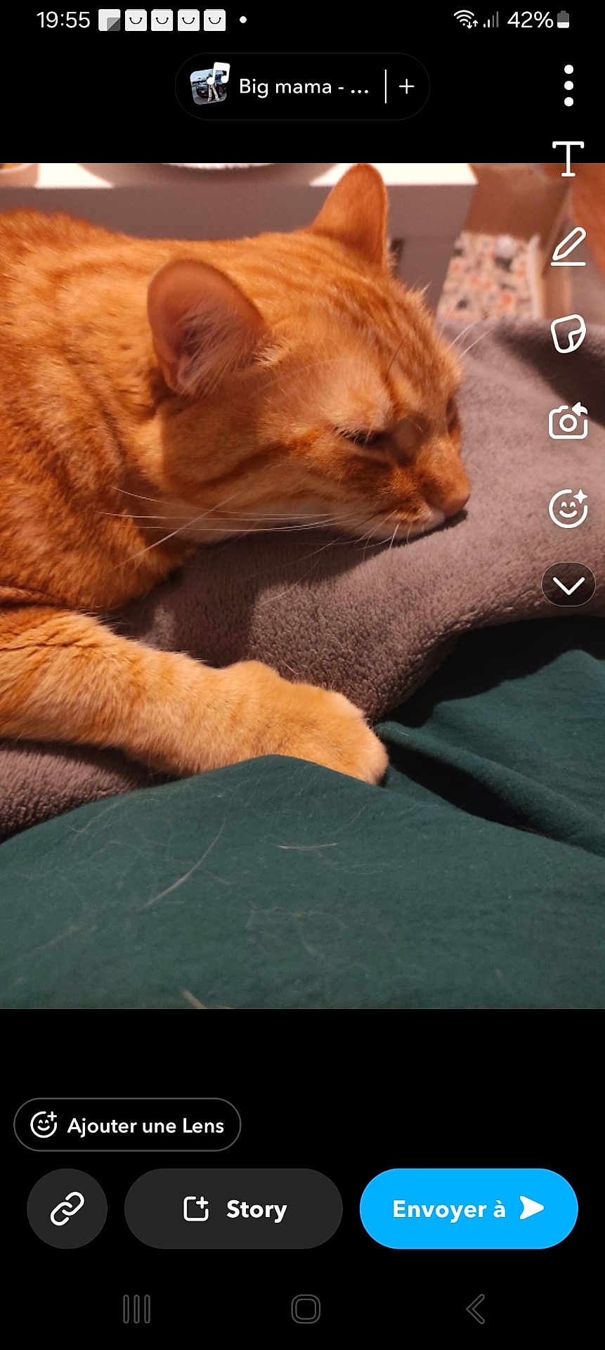 Simba participe au concours pour gagner de l'argent avec cette photo : cat, orange_tabby, sleeping, resting, paw, fur, blanket, indoor, cozy, soft, relaxed, pet, animal, closeup, comfort, feline, cute, domestic, mammal, whiskers