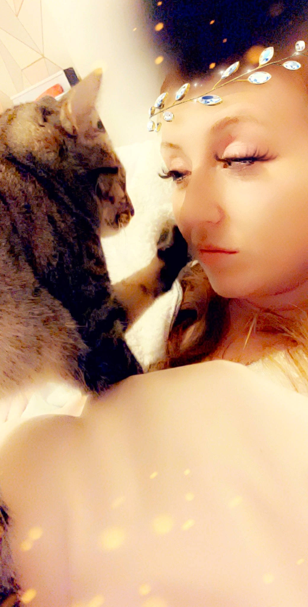 Teeny joined the competition — help win amazing prizes! beauty, black_hair, cat, cheek, ear, eye, eyebrow, eyelash, fawn, felidae, forehead, fur, gesture, lip, long_hair, nose, photography, small_to_medium_sized_cats, whiskers