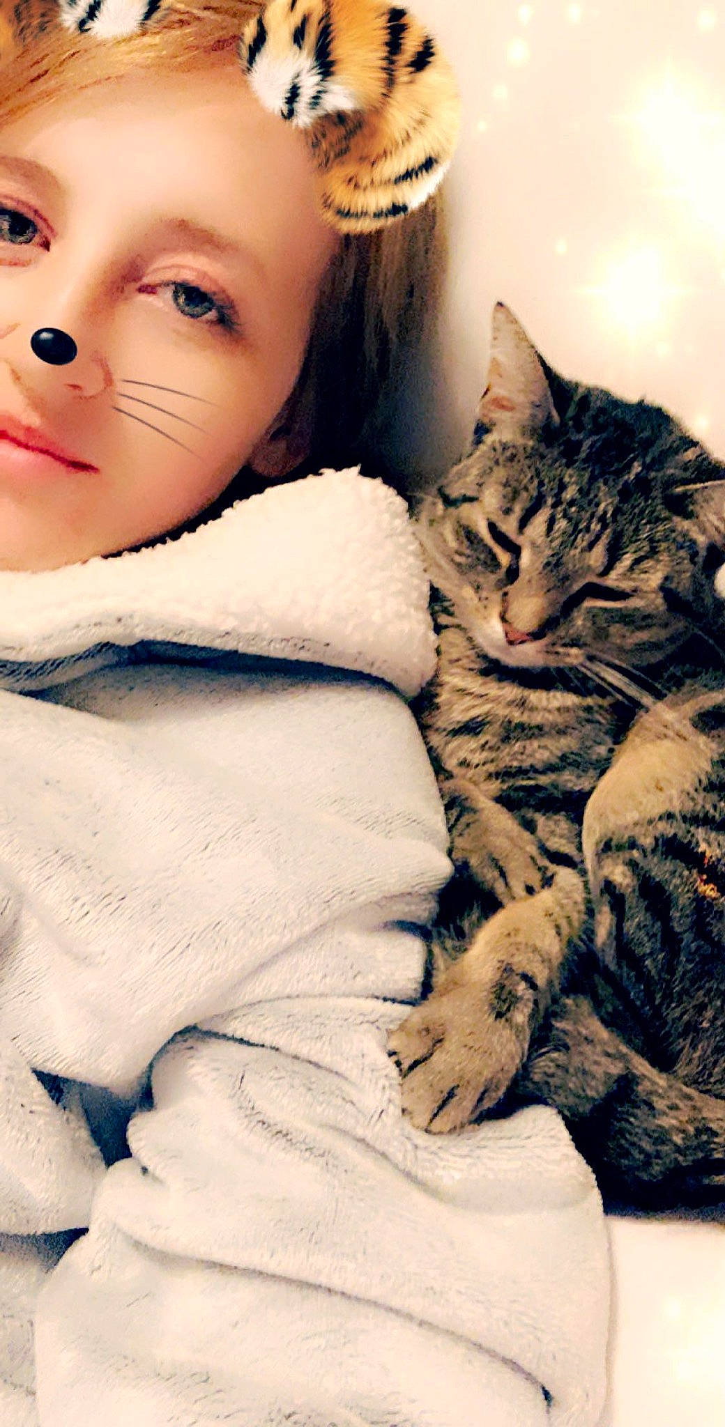 Teeny joined the competition — help win amazing prizes! asian, carnivore, cat, cheek, child, domestic_short_haired_cat, dragon_li, ear, european_shorthair, eye, felidae, fur, nose, skin, small_to_medium_sized_cats, tabby_cat, whiskers