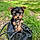 Buddy