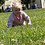 toddler, child, grass, outdoor, crawling, pink_sweater, pigtails, greenery, daylight, houses, cars, nature, playing, cute, young_child, person, field, sunlight, casual_clothing, exploration