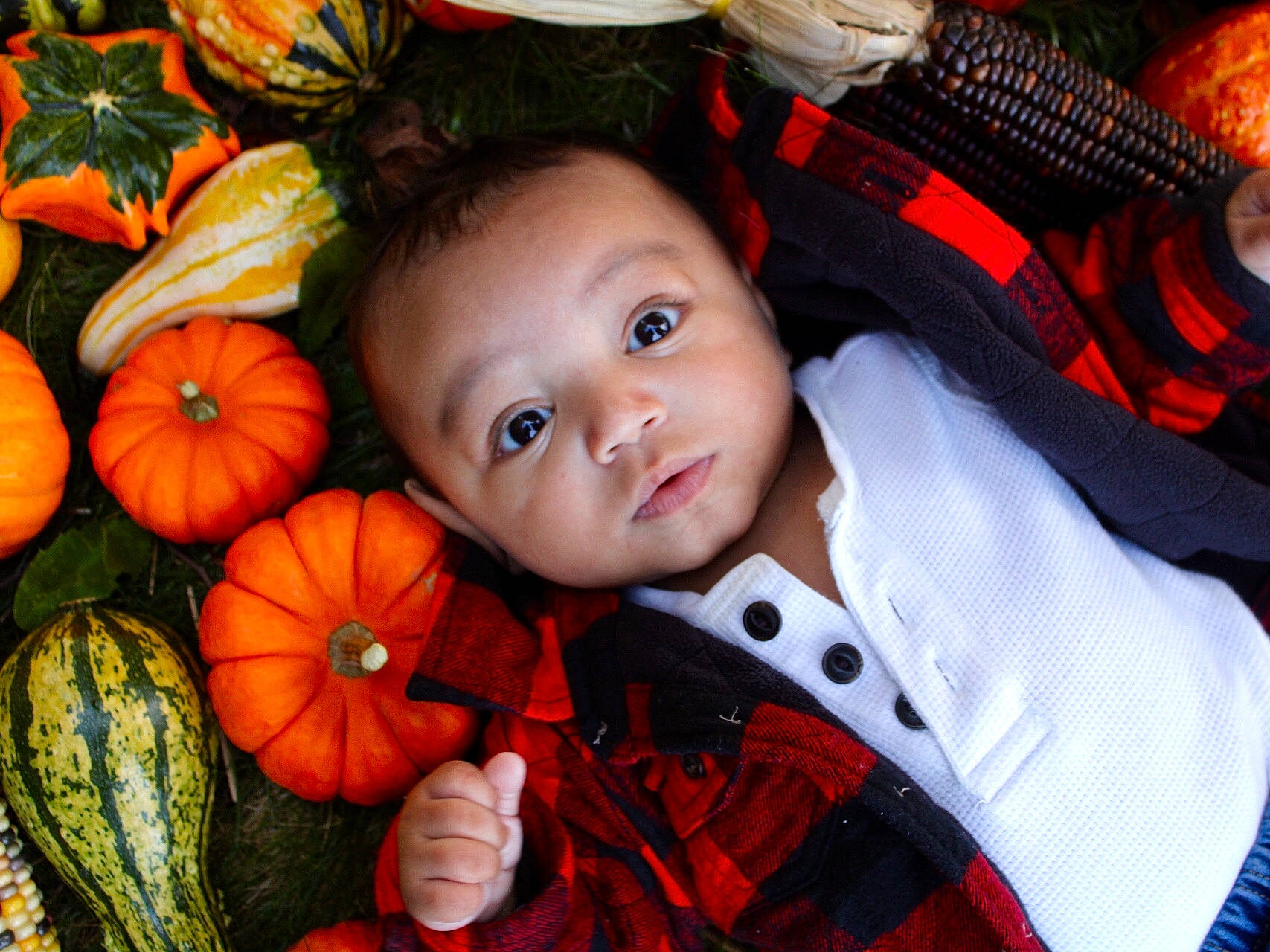 Phillip is registered to the contest to win money with this photo: calabaza, child, cucurbita, door, eye, fun, gourd, grass, happy, iris, leaf, natural_foods, orange, person, plant, pumpkin, squash, tartan, toddler, winter_squash