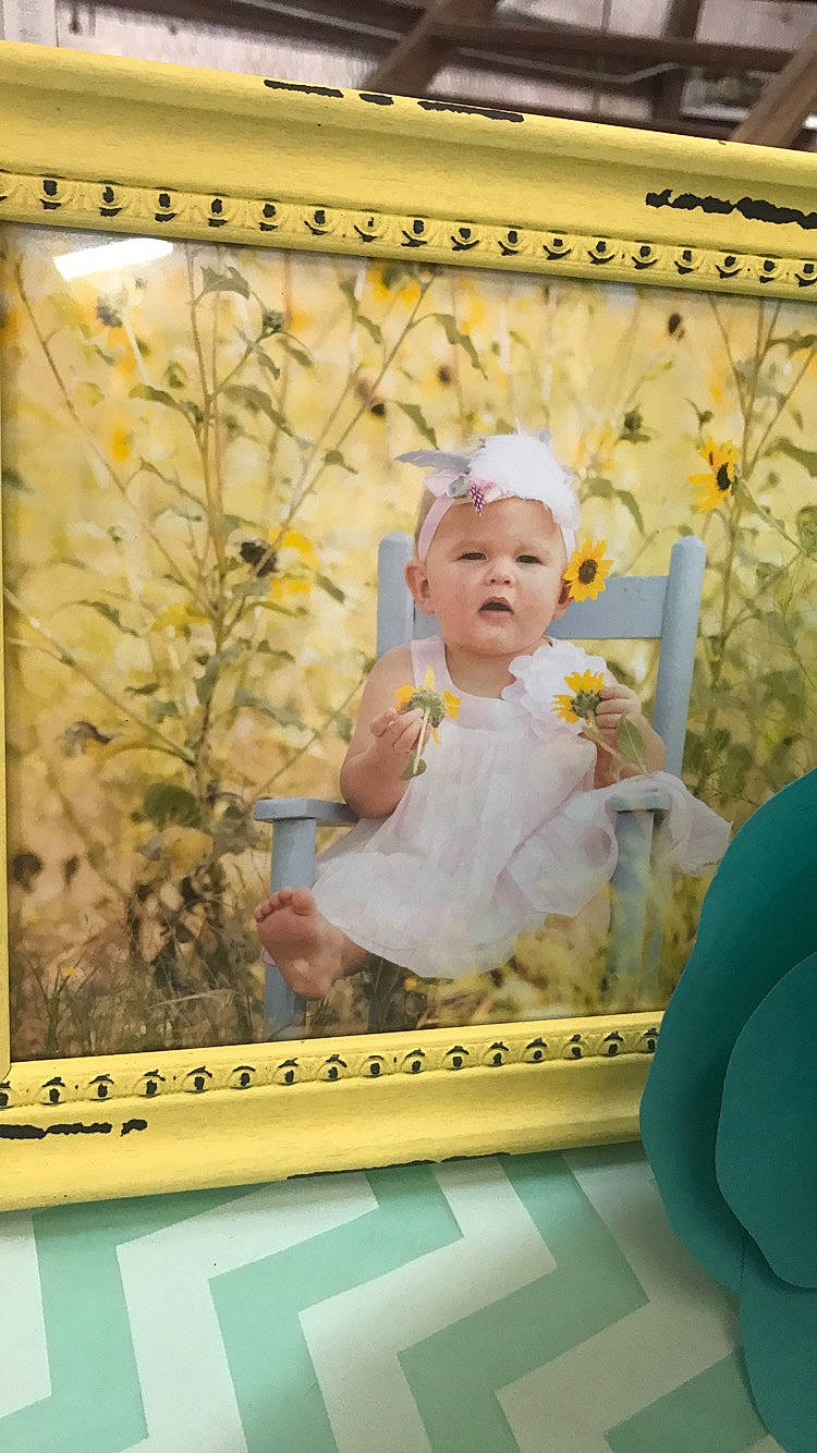 Bentlie is registered to the contest to win money with this photo: art, baby, baby_products, baby_toddler_clothing, chair, child, flower, fun, grass, happy, pattern, person, picture_frame, plant, rectangle, room, toddler, tree, twig, visual_arts