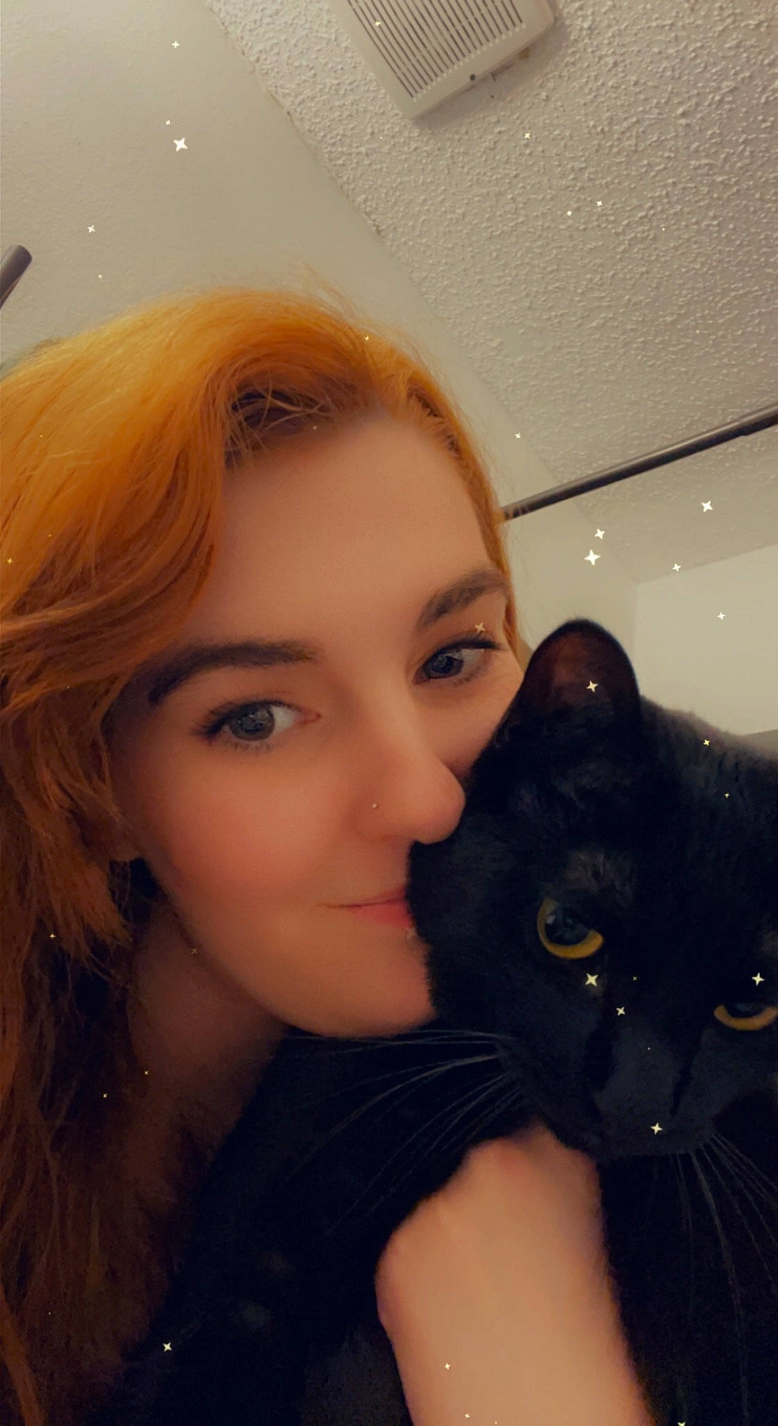 Inky Boo joined the competition — help win amazing prizes! black_hair, brown_hair, carnivore, cat, cheek, chin, eye, eyebrow, eyelash, felidae, happy, iris, jaw, layered_hair, lip, long_hair, nose, small_to_medium_sized_cats, smile, whiskers