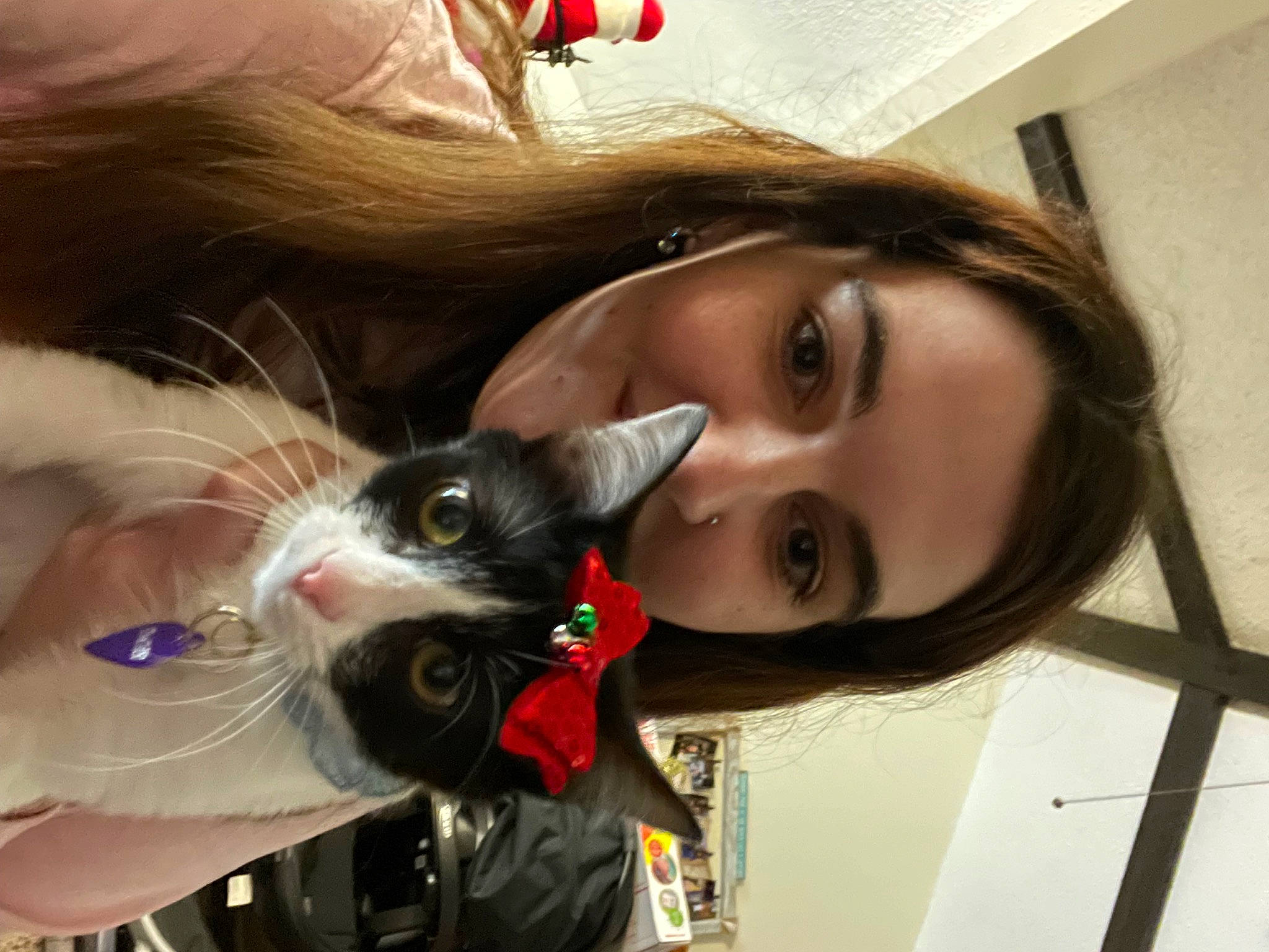 Zelda May joined the competition — help win amazing prizes! bangs, brown_hair, carnivore, cat, companion_dog, eye, eyelash, fawn, felidae, fur, happy, human_body, iris, long_hair, nose, skin, small_to_medium_sized_cats, smile, toy, whiskers