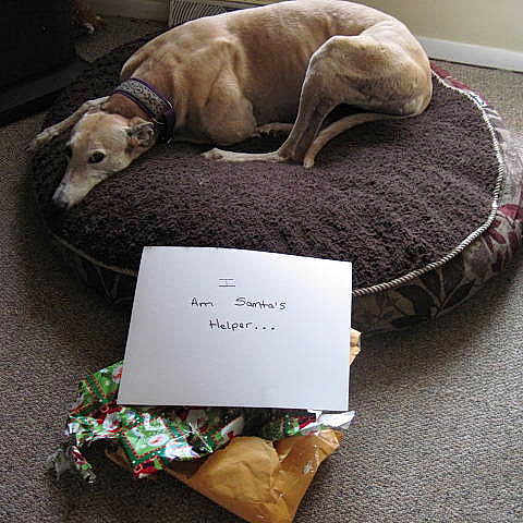 Missy is registered to the contest to win money with this photo: