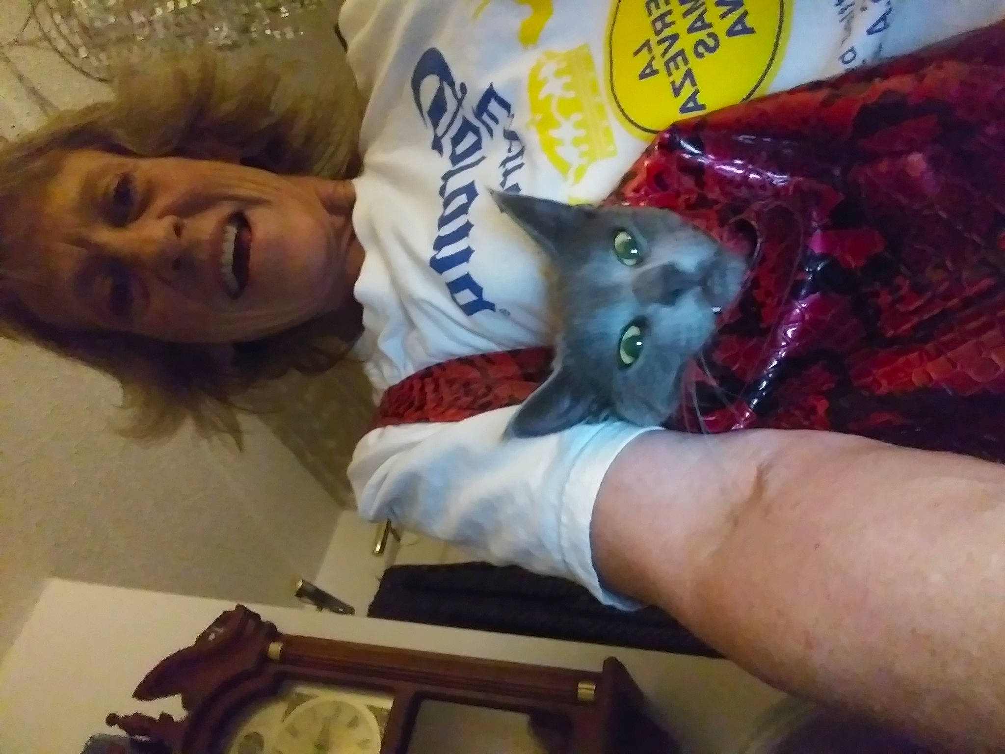 Zoey is registered to the contest to win money with this photo: cat, felidae, photography, small_to_medium_sized_cats, whiskers