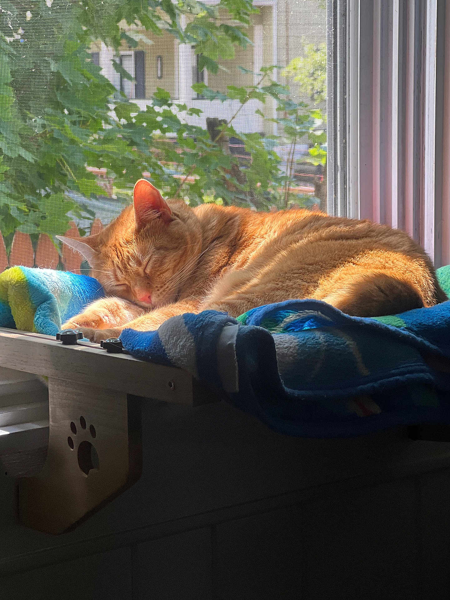 Peachie