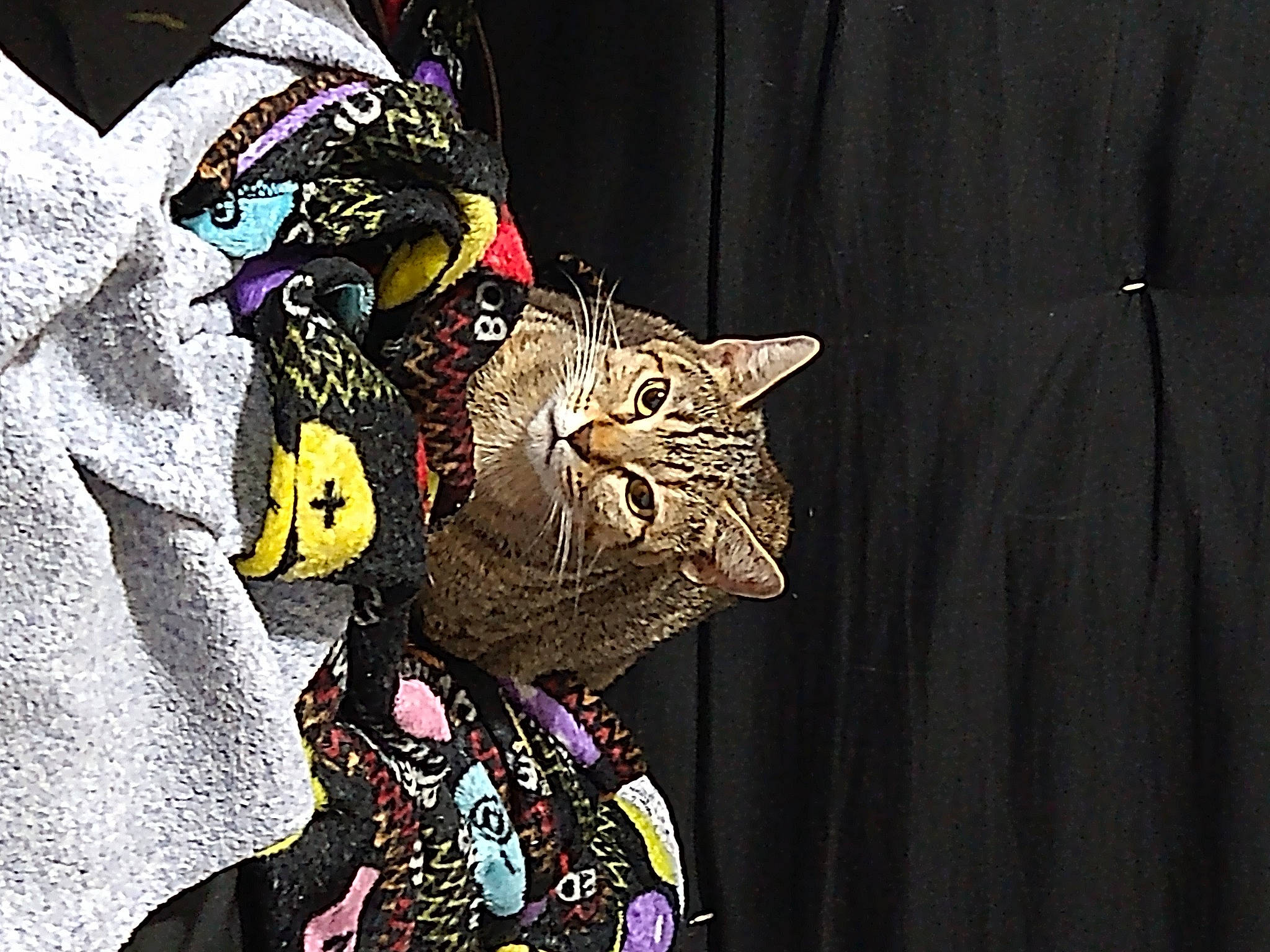 Naina is registered to the contest to win money with this photo: art, carmine, carnivore, cat, costume_design, costume_hat, event, fashion_accessory, felidae, fictional_character, fur, hat, headgear, illustration, mask, sleeve, small_to_medium_sized_cats, snout, visual_arts, whiskers