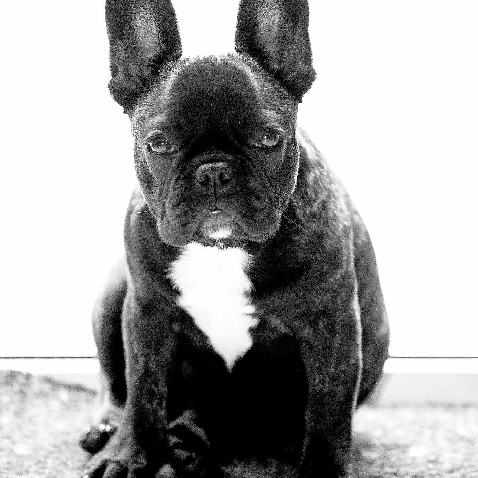 Fiona