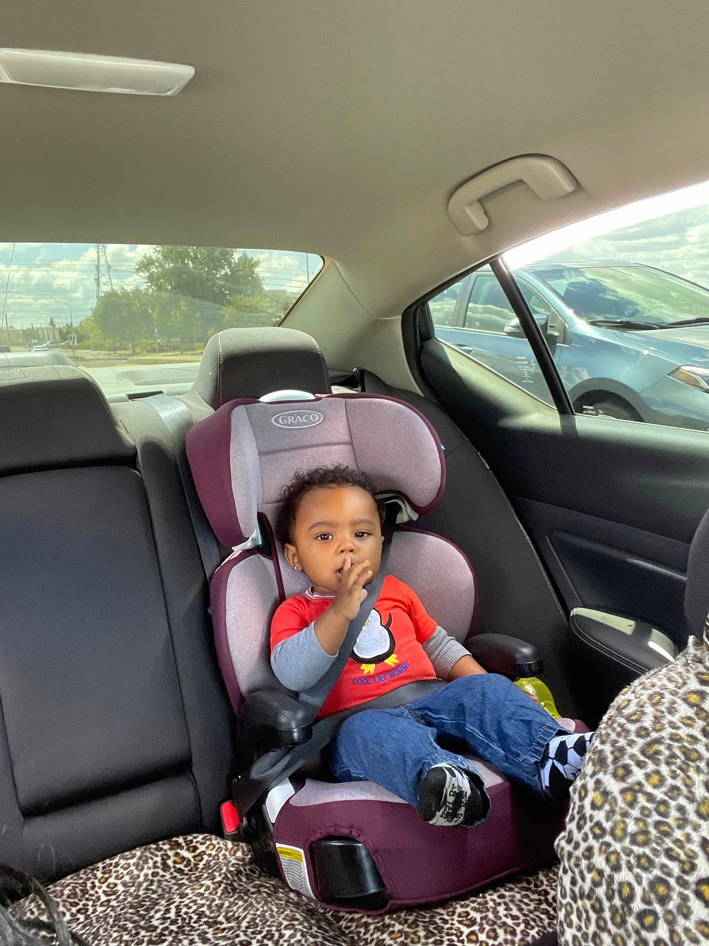 Kingslin is registered to the contest to win money with this photo: toddler, child, car_seat, car_interior, seatbelt, red_shirt, blue_jeans, penguin_graphic, leopard_print, window, car, road, trees, sky, clouds, seat, socks, finger_in_mouth, safety, baby