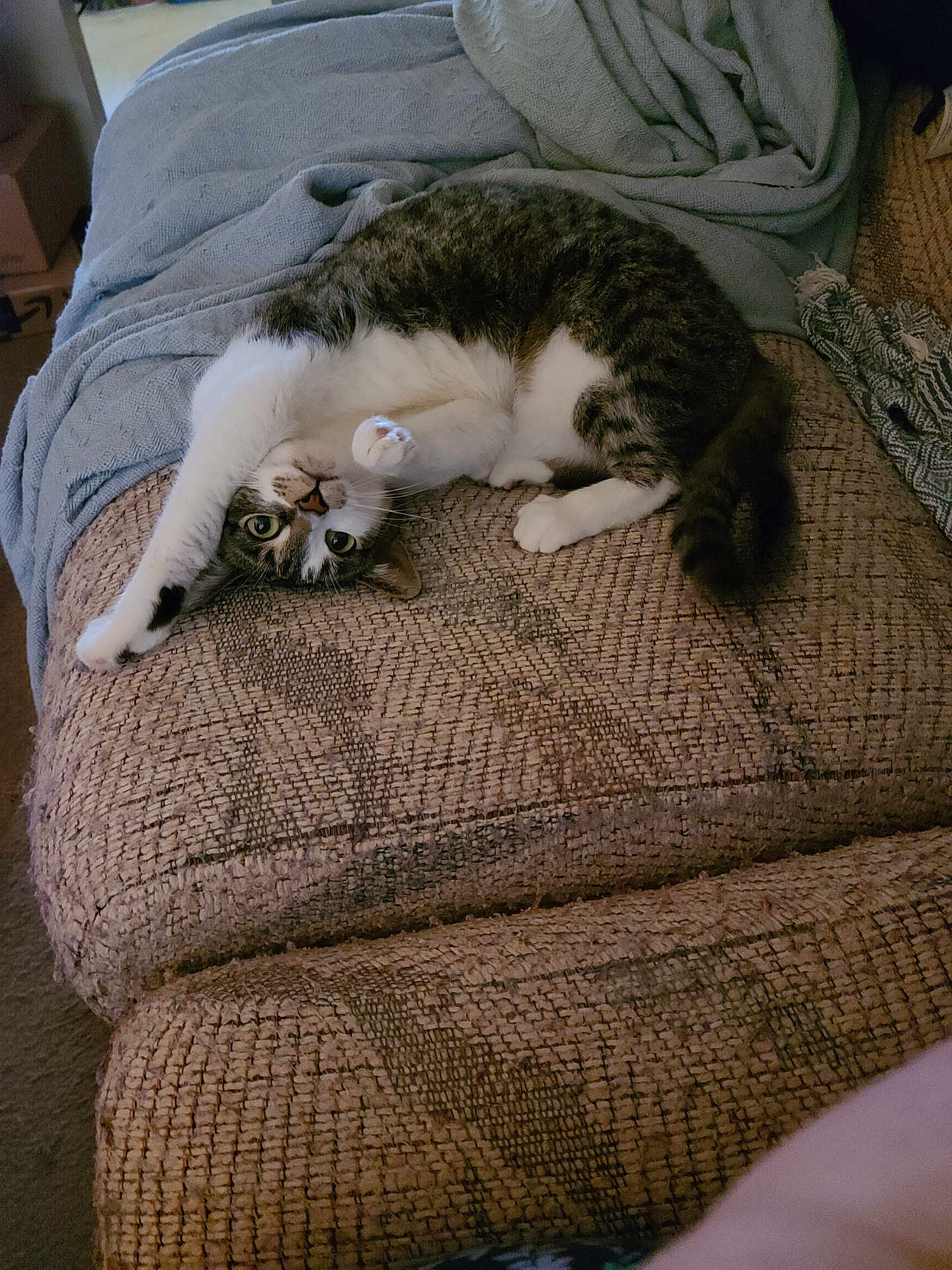 Lucie