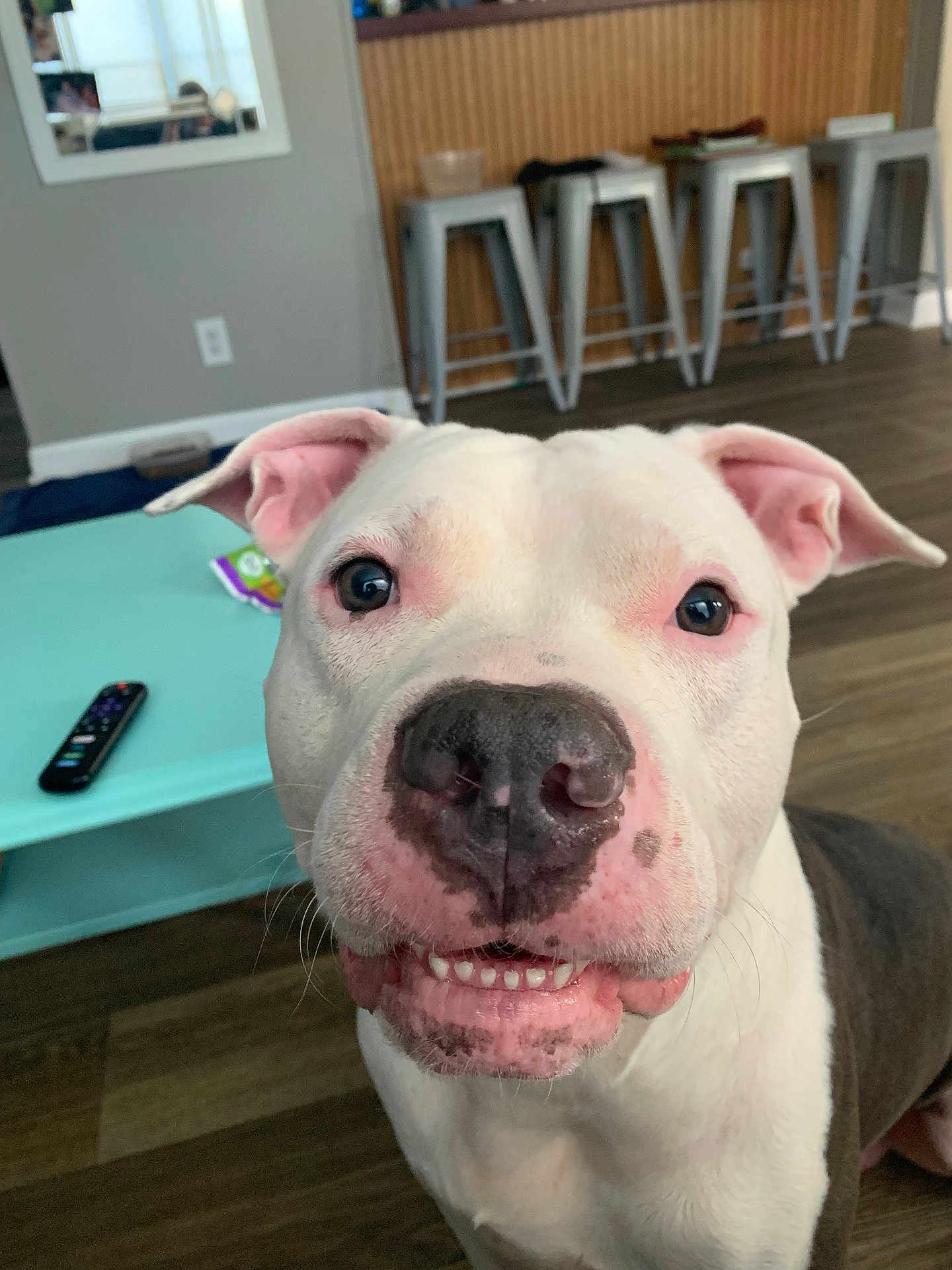Pua