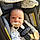 Liam