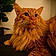 Fluffers