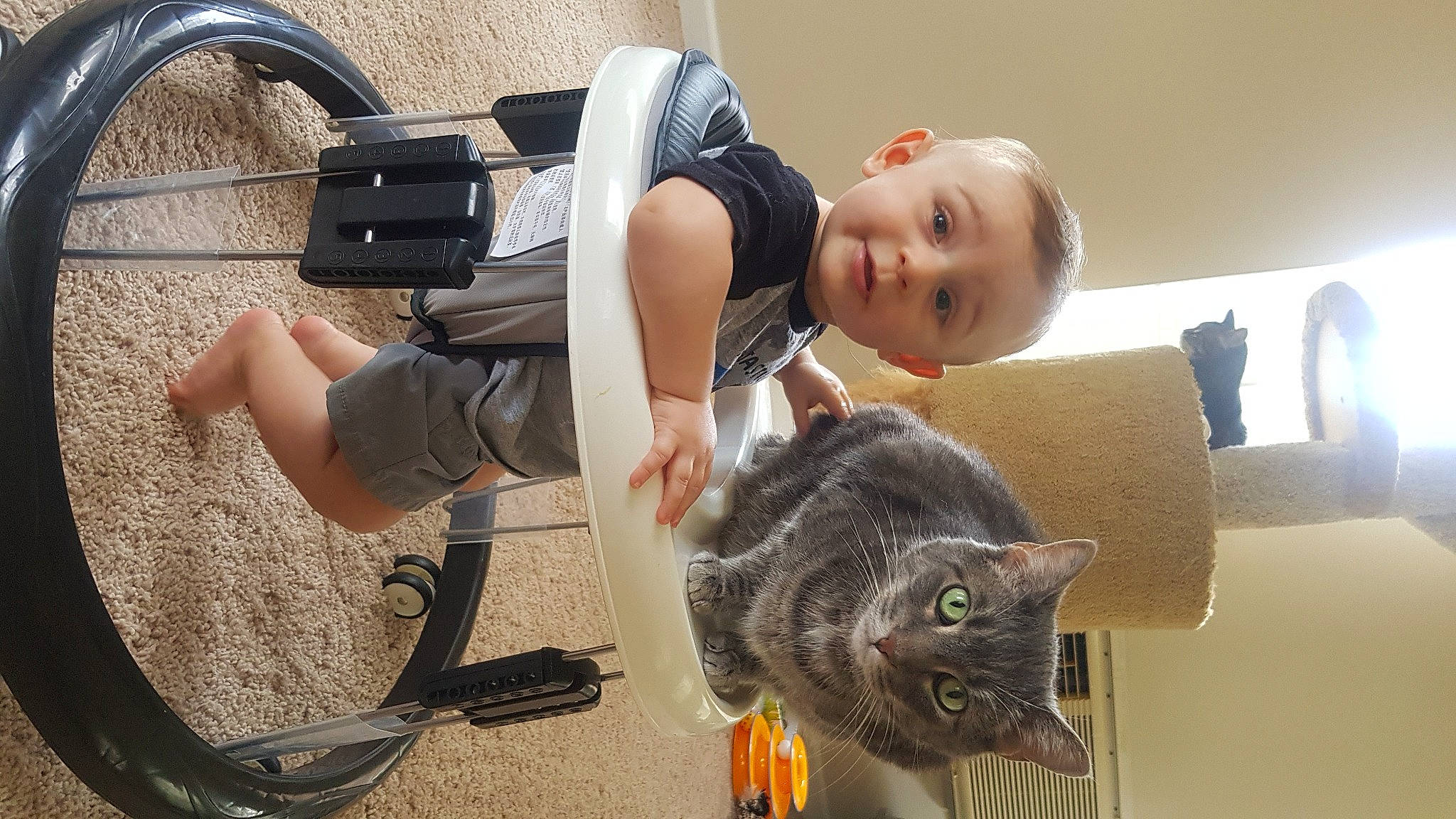Ayden joined the competition — help win amazing prizes! audio_equipment, automotive_tire, camera, carnivore, cat, child, comfort, couch, domestic_short_haired_cat, felidae, fun, human_leg, leg, luggage_and_bags, person, picture_frame, sitting, small_to_medium_sized_cats, tail, toddler