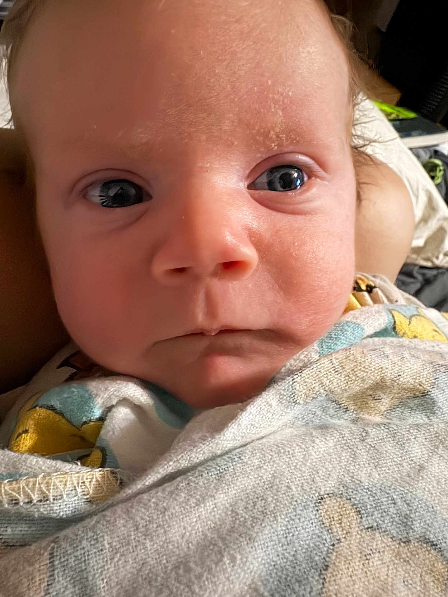 Seth joined the competition — help win amazing prizes! baby, infant, newborn, face, eyes, nose, mouth, closeup, portrait, swaddle, blanket, skin, cheeks, expression, gaze, eyelashes, head, hair, bedding, home