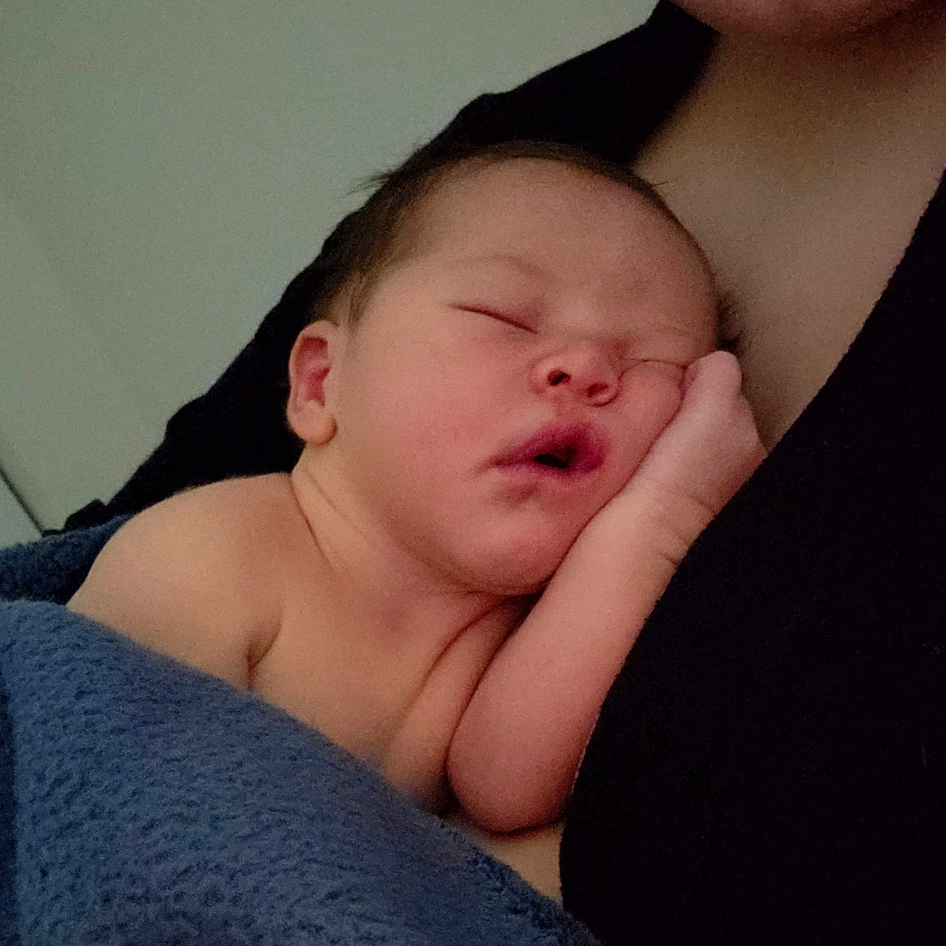 Golden is registered to the contest to win money with this photo: baby, bed, blanket, face, furniture, head, newborn, person, photography, portrait, sleeping, towel