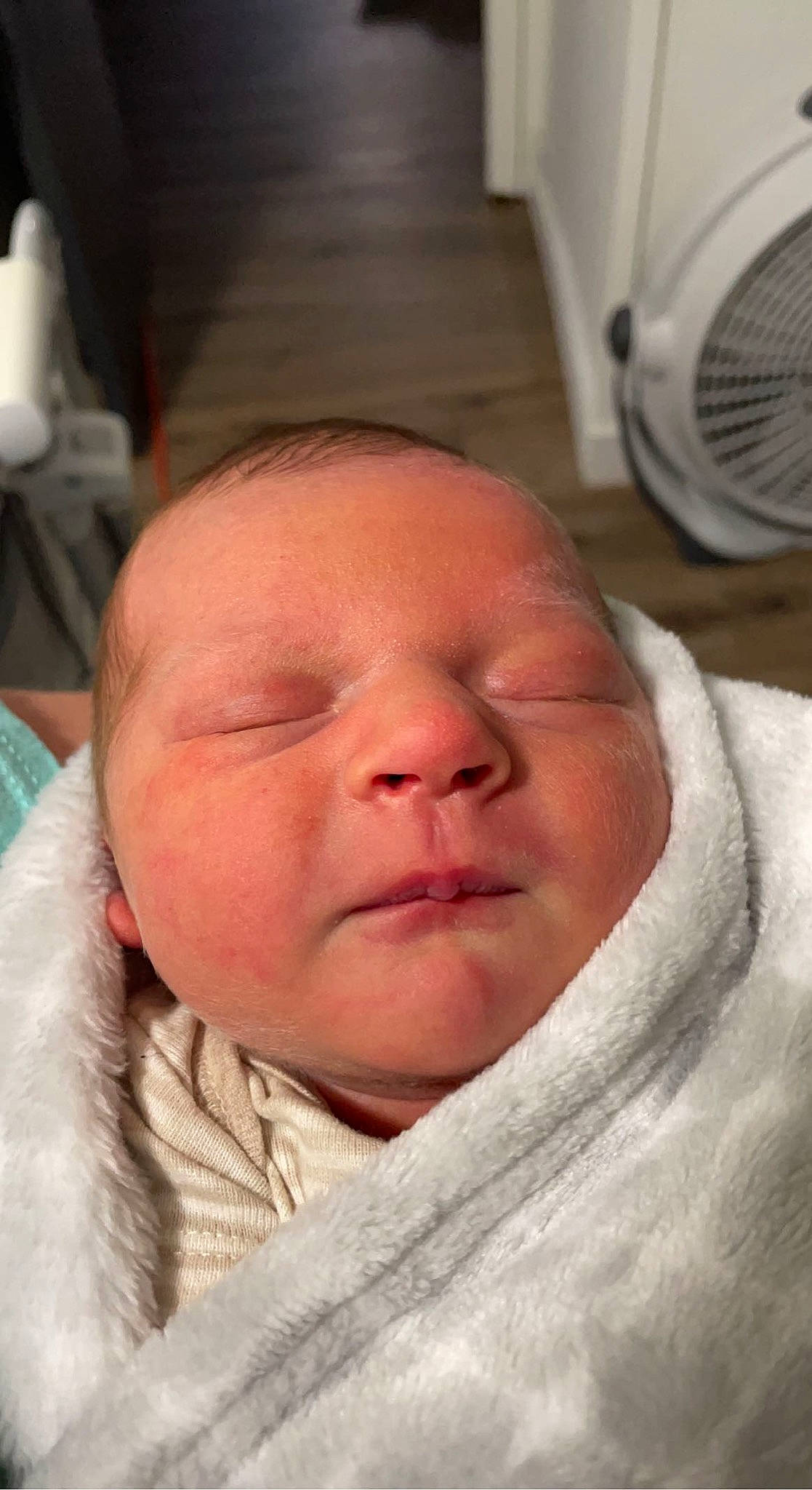 Waylon joined the competition — help win amazing prizes! baby, cheek, comfort, electric_fan, eyebrow, face, happy, head, home_appliance, iris, jaw, lip, mechanical_fan, mouth, neck, nose, person, skin, smile, toddler