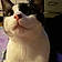 Kitty