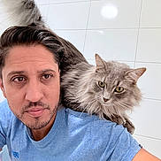 Dior joined the competition — help win amazing prizes! animal, beard, blue_shirt, casual, cat, closeup, companion, feline, fluffy, friendship, gray_cat, human, indoor, looking_away, man, pet, portrait, short_hair, shoulder, white_tiles